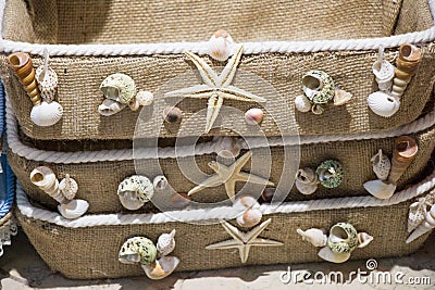 Various types of little seashells and starfish on the face of a Stock Photo