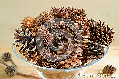 Various types and sizes of many natural dry pine cones in a glass compote on wooden background Stock Photo