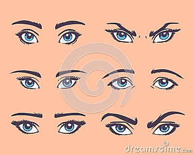 Various types of woman eyes with eyebrows. Vector Illustration