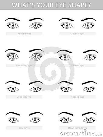 Various types of woman eyes, vector set Vector Illustration