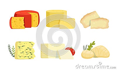 Various Varieties of Cheese Collection, Delicious Fresh Dairy Products Vector Illustration on White Background Vector Illustration