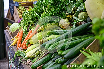 Various vegetables on display at a fruit and veg stall in Borough Market, London Editorial Stock Photo