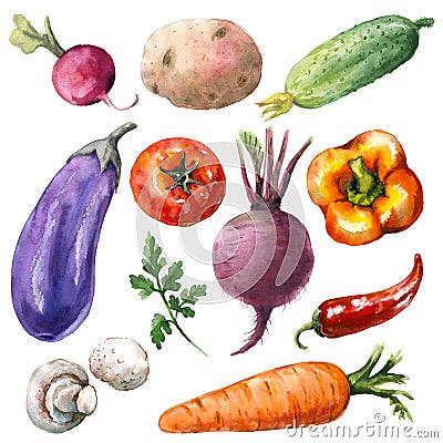 Various Vegetables Set Cartoon Illustration