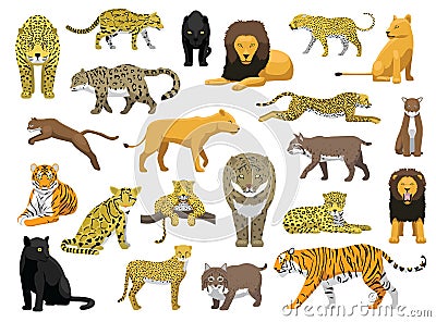 Various Wild Cat Panthera Vector Illustration Vector Illustration