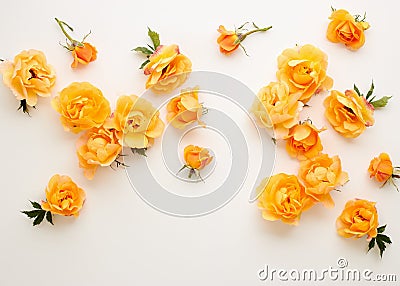 Various yellow roses scattered on a white background, overhead view Stock Photo