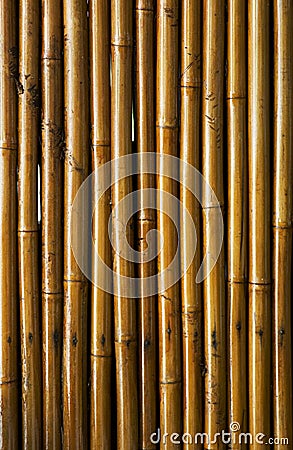 Varnished bamboo background Stock Photo