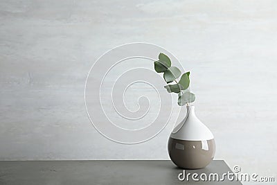 Vase with eucalyptus branch with fresh leave Stock Photo