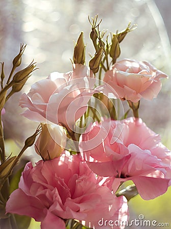 Vase with in flowers,To beloved mother, a Mother`s Day, beloved mother, Stock Photo