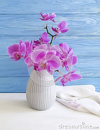 Vase orchid flower on wooden background congratulation, blue, fresh, spring Stock Photo
