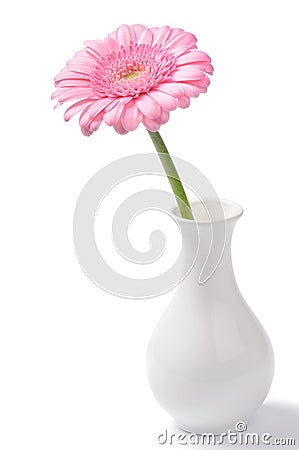 Vase with pink chrysanthemum Stock Photo