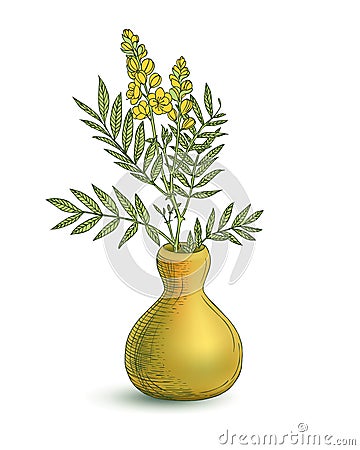 Vase with senna plant flowers Vector Illustration