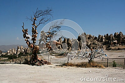 The Vase Tree Stock Photo