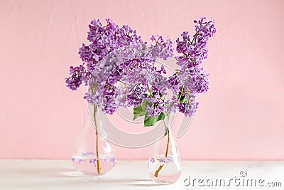 Vases with beautiful blossoming lilac on table against color background Stock Photo