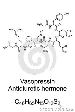 Vasopressin. Antidiuretic hormone. Chemical structure Vector Illustration