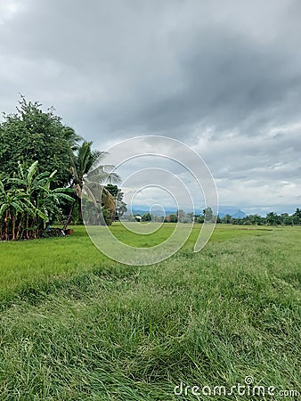 Vast grassland. clound rain Stock Photo