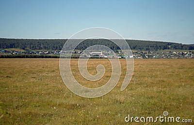 Vast landscape. Magnificent field with growing trees and bushes. Large tracts of forest. Stock Photo