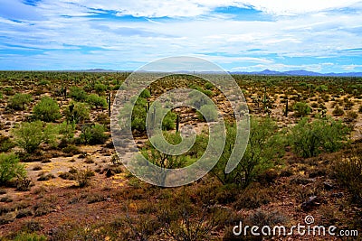 Central Sonora Desert Arizona Stock Photo