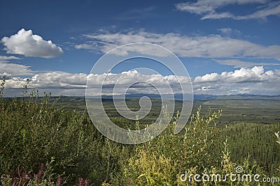 The vast wilderness in the north. Stock Photo