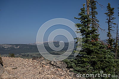 Vast Yellowstone Wilderness from Bunsen Peak Summit Stock Photo