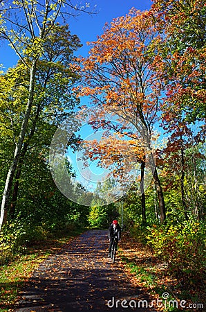 Man riding bicycle outdoors on path in colorful autumn color forest with sunshine in fall season Editorial Stock Photo