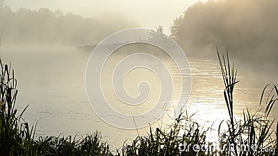 Vatten för flod för flöde för löneförhöjning för dimma för morgonsoluppgångreflexion dimmigt lager videofilmer Vatten för flod för flöde för löneförhöjning för dimma för morgonsoluppgångreflexion dimmigt lager videofilmer