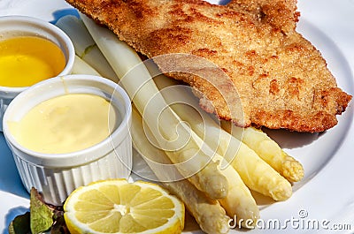 Veal escalope with fresh asparagus, hollandaise sauce and liquid butter Stock Photo