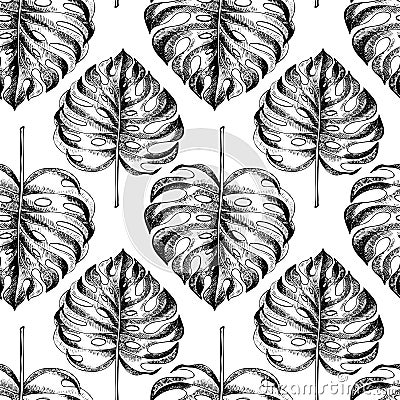 Vecotr hand drawn seamless pattern. tropical plants. Exotic engraved leaves and flowers. Isoalated on white. Monstera Vector Illustration