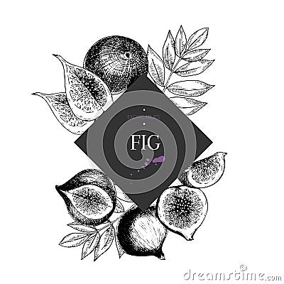 Vecotr hand drawn smoothie bowls poster. Exotic engraved fruits. Square border composition. Fig Vector Illustration