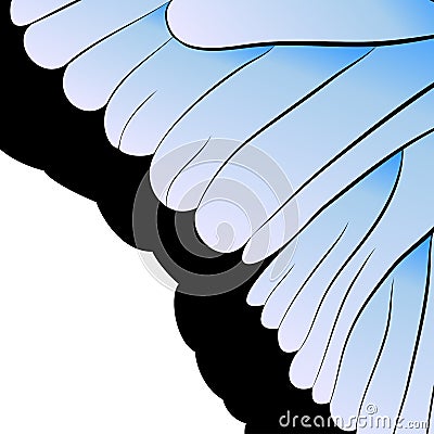 Vector abstraction. Part of butterfly wing Vector Illustration