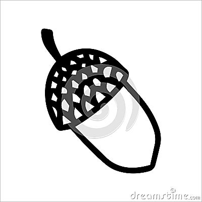 Vector acorn, oak fruit isolated on white background icon. Illustration for seasonal design, textile, decoration kids Vector Illustration