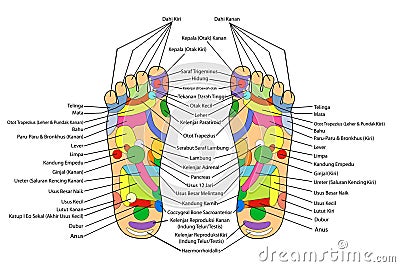 simple vector acupuncture, traditional alternative heal, left and right foot and indonesia description Stock Photo