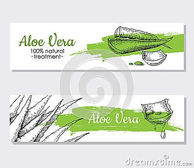 Vector aloe vera hand drawn illustrations. Aloe Vera banner, poster, label, brochure template for business promote. Vector Illustration