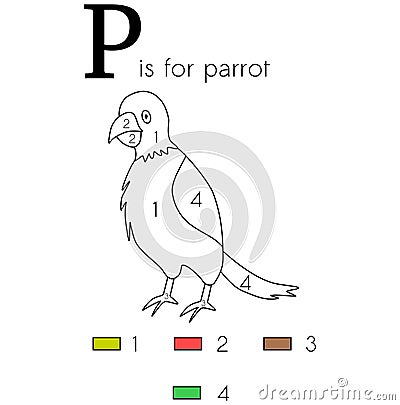 Parrot. Vector alphabet letter P, colouring page Cartoon Illustration