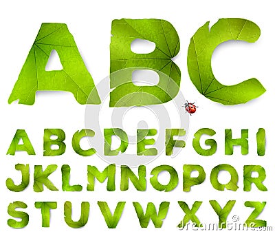 Vector alphabet letters made from green leaves Vector Illustration