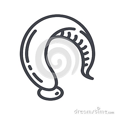 Hirudotherapy treatment line icon isolated on transparent background. Vector Illustration