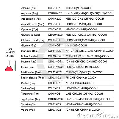 Vector 20 amino acids: Alanine Arginine Asparagine Aspartic acid Cysteine Glutamine Glutamic acid Glycine Histidine Isoleucine etc Vector Illustration