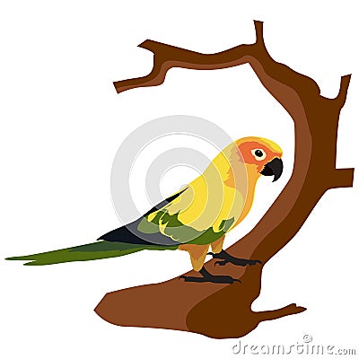 Vector animal clip art. Vector illustration of a crooked beak parakeet perched on a tree branch Cartoon Illustration