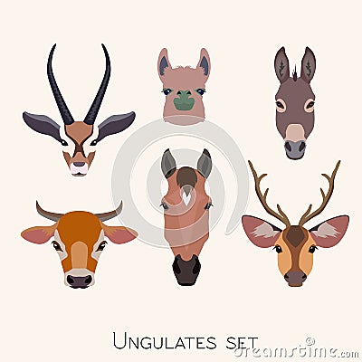 Vector animals heads set. Lama deer antelope donkey horse cow Vector Illustration