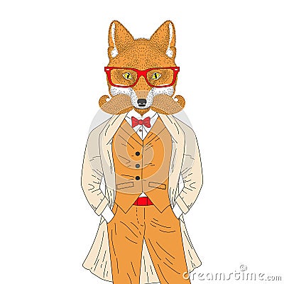 Vector anthropomorphic fox in elegant classic suit with coat. Ha Vector Illustration