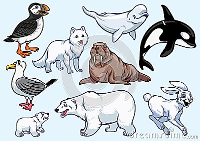 Arctic Animal Set Vector Illustration