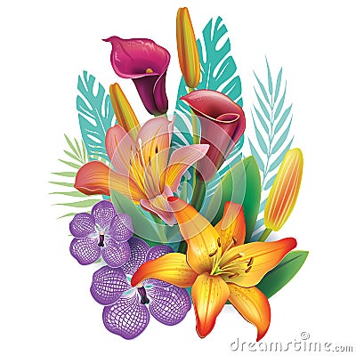 Arrangement from tropical flowers Vector Illustration