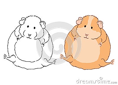 Vector art of cute little fat guinea pig on white background. Colorful illustration of small domestic cavy good for coloring pages Vector Illustration