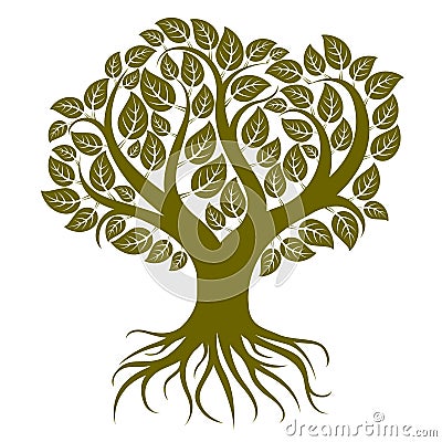 Vector art illustration of branchy tree with strong roots. Tree Vector Illustration