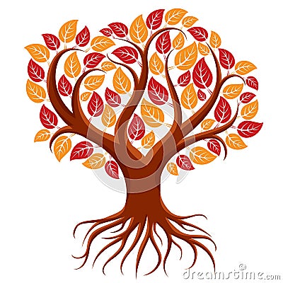 Vector art illustration of branchy tree with strong roots. Tree Vector Illustration