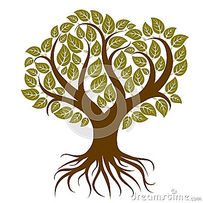 Vector art illustration of branchy tree with strong roots. Tree Cartoon Illustration