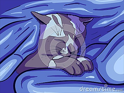 Vector art of a sleeping cat under a warn and cozy blanket. Digital drawing of a small kitten purring. Vector Illustration