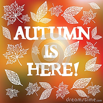 Autumn is here. Vector illustration Vector Illustration