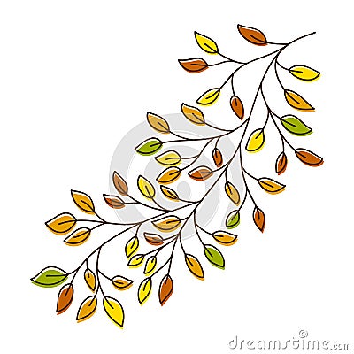 Vector of a autumn birch tree branch. Hand drawn leaves and branch isolated on white. Doodle birch autumn leaves for Vector Illustration