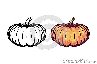 Vector Autumn Black and White and Colored Pumpkin Icon Set with Outline. Design Template, Clipart for Halloween Vector Illustration