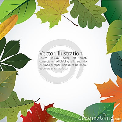 Vector of autumn colorful leaves. Vector Illustration